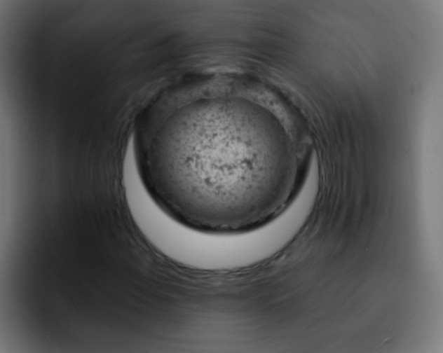 X0000093171108200710031459