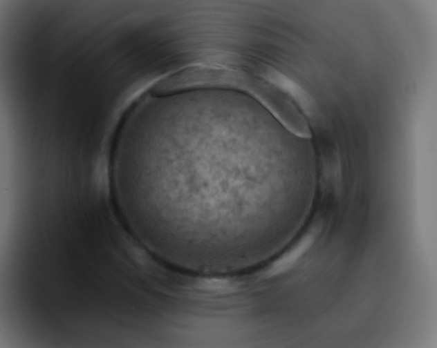 X0000093171114200710031459