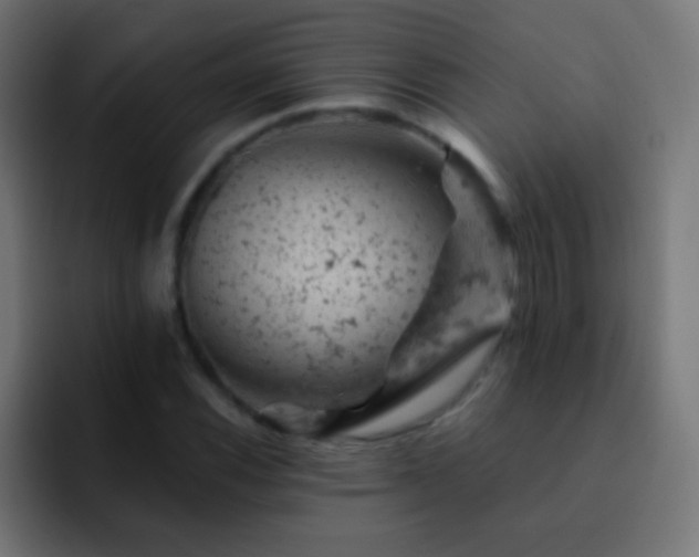 X0000093171116200710031459