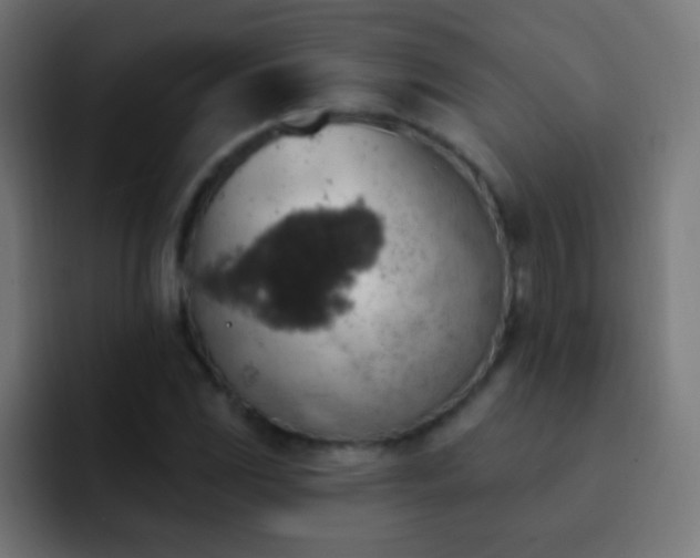 X0000093171117200710031459