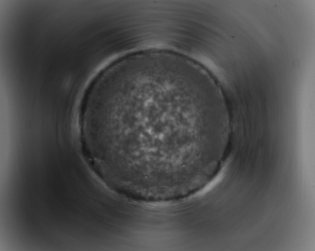 X0000093171118200710031459
