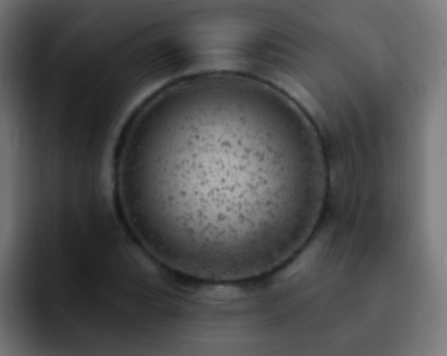 X0000093171119200710031459