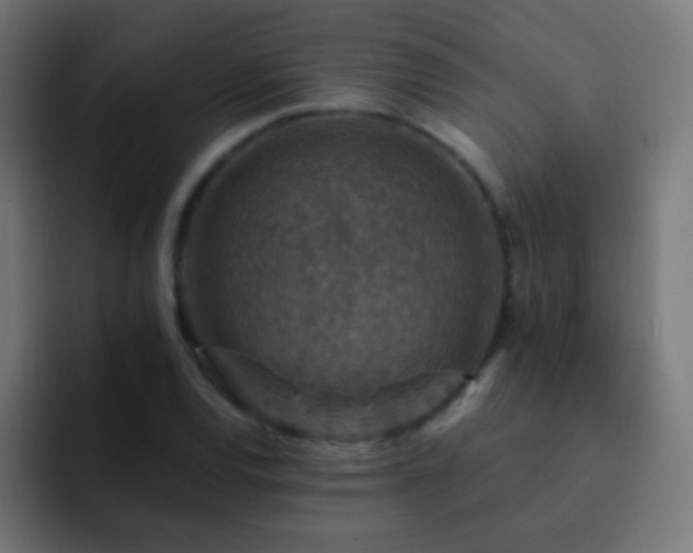 X0000093171120200710031459