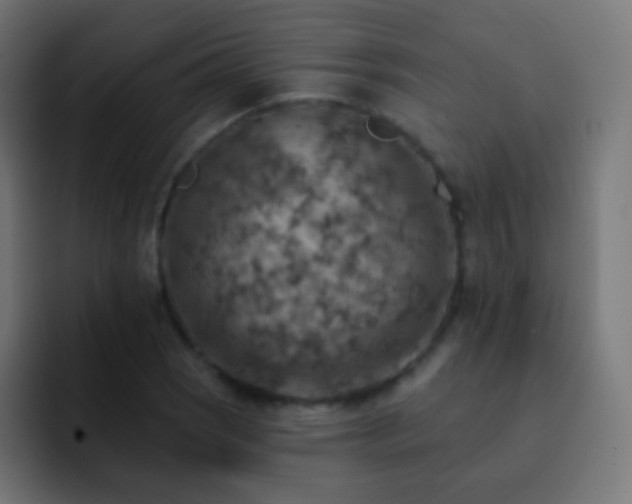 X0000093171121200710031459