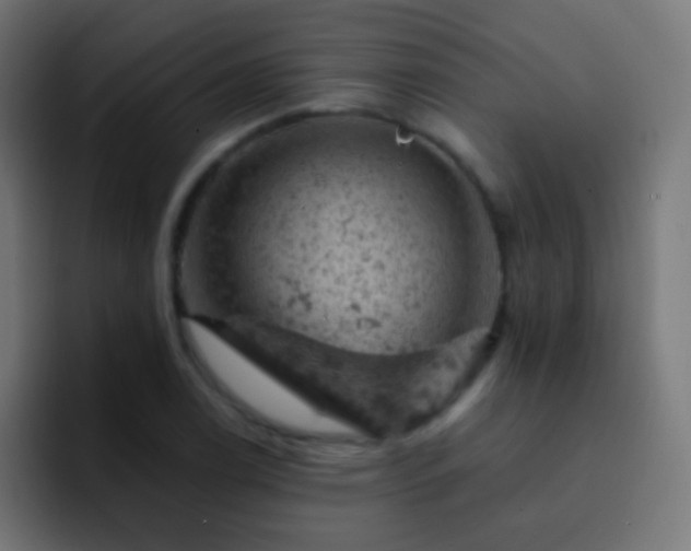 X0000093171122200710031459