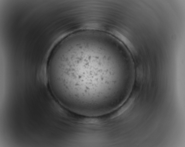 X0000093171123200710031459