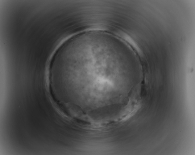 X0000093171124200710031459