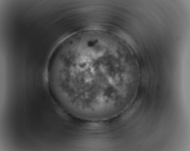 X0000093171125200710031459