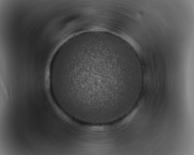 X0000093171126200710031459