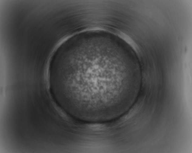X0000093171127200710031459