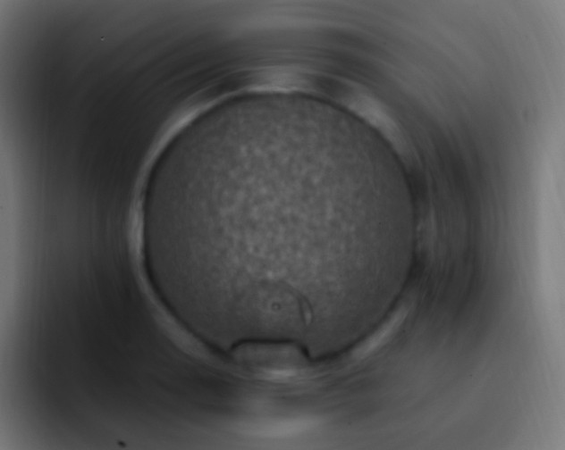 X0000093171130200710031459