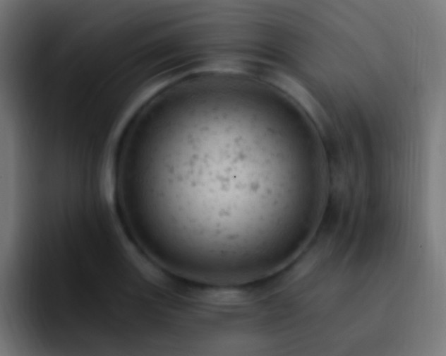 X0000093171131200710031459