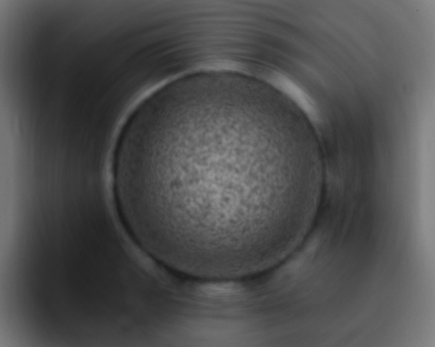 X0000093171133200710031459