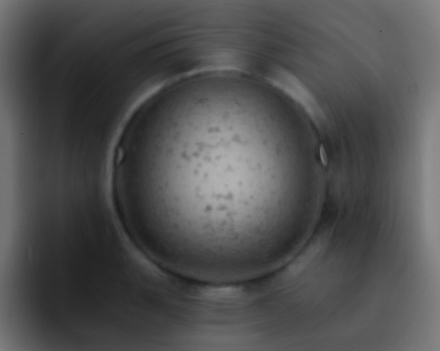 X0000093171135200710031459