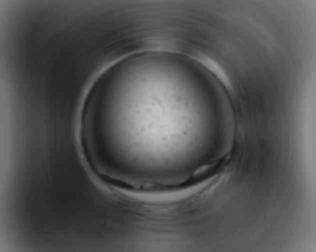 X0000093171136200710031459