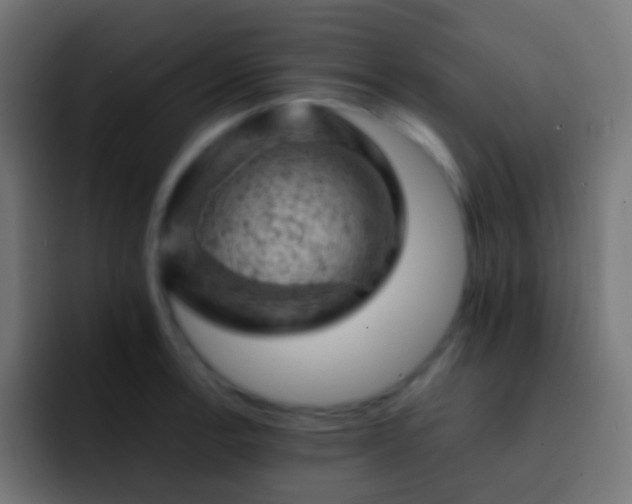 X0000093171138200710031459