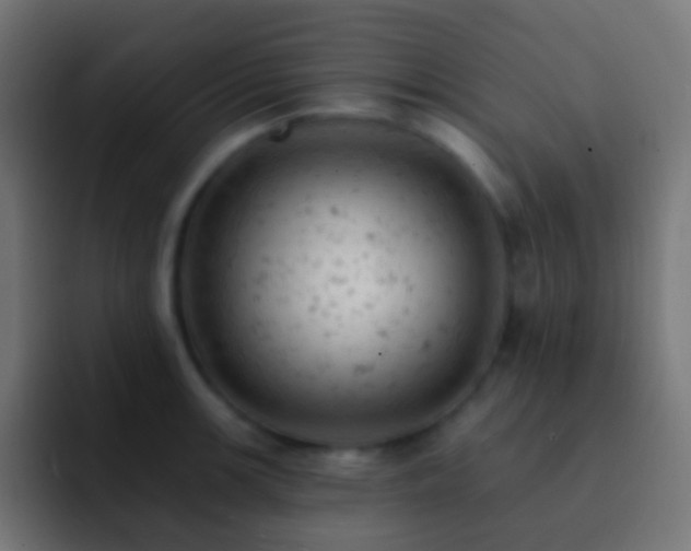 X0000093171139200710031459