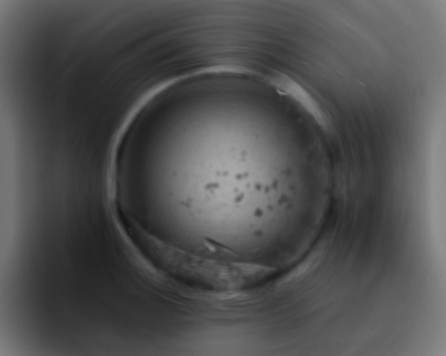 X0000093171140200710031459