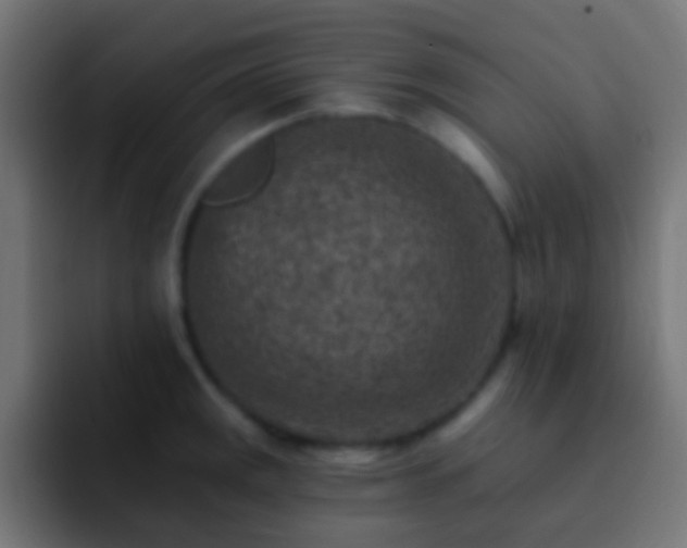 X0000093171141200710031459