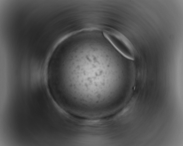 X0000093171143200710031459