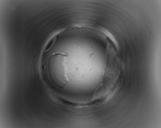 X0000093171146200710031459
