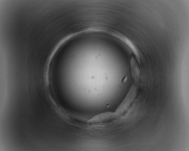 X0000093171148200710031459