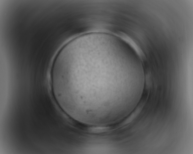 X0000093171150200710031459