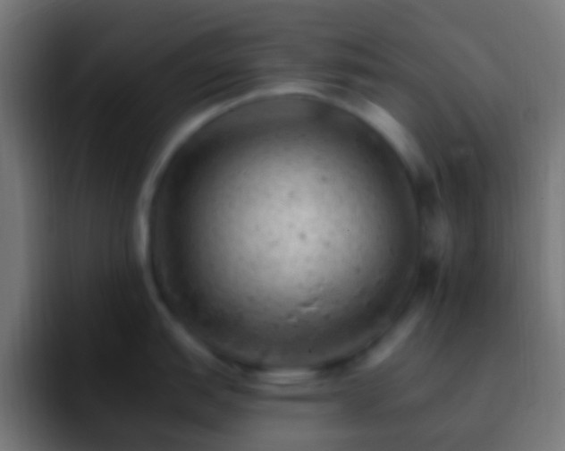 X0000093171151200710031459