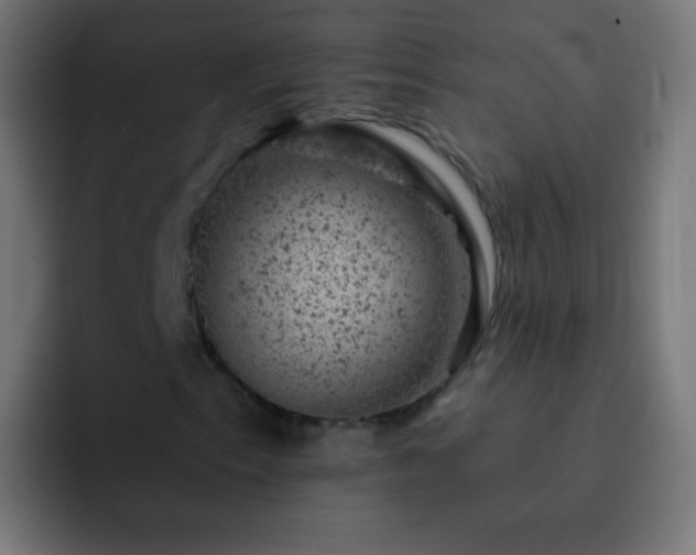 X0000093171153200710031459