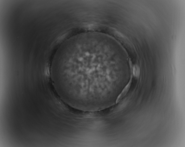 X0000093171155200710031459