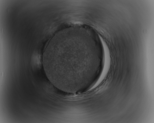 X0000093171156200710031459