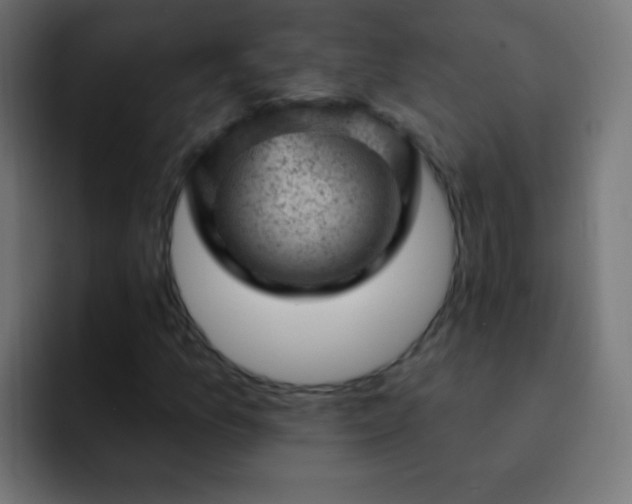 X0000093171157200710031459