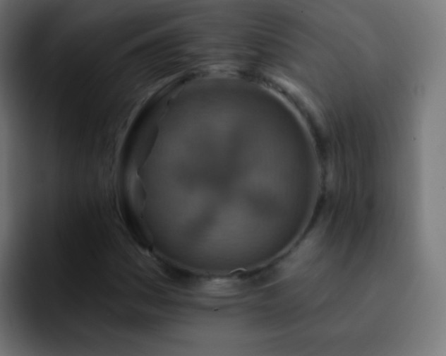 X0000093171161200710031458