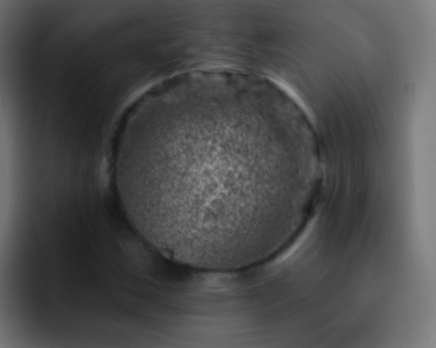 X0000093171163200710031458