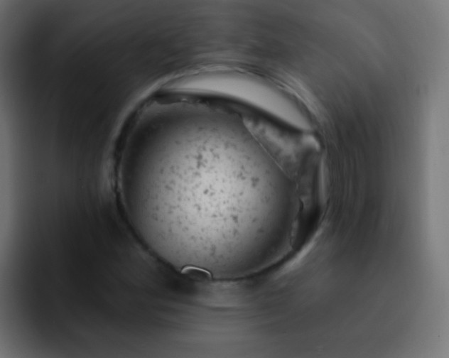 X0000093171164200710031458