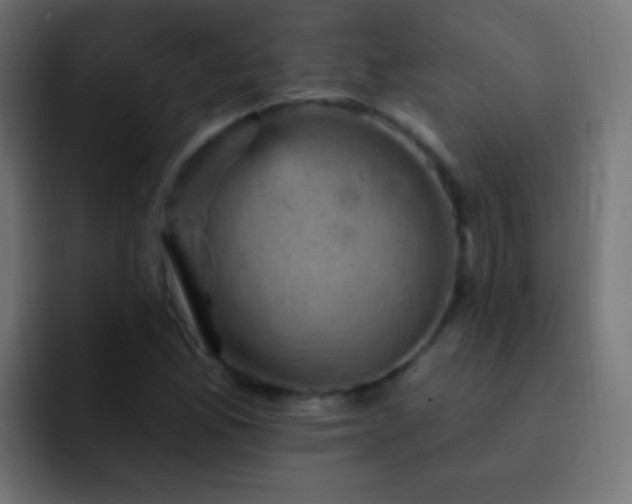 X0000093171165200710031458