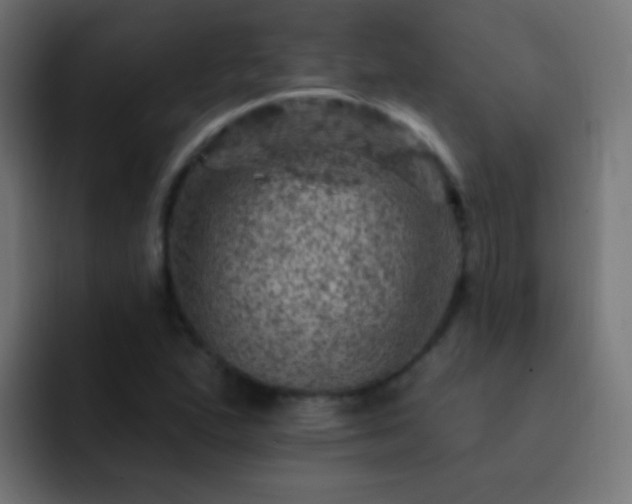X0000093171167200710031458
