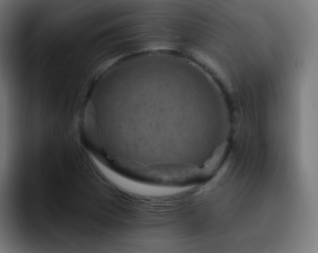 X0000093171169200710031458