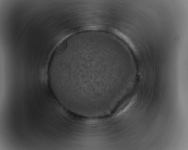 X0000093171170200710031458
