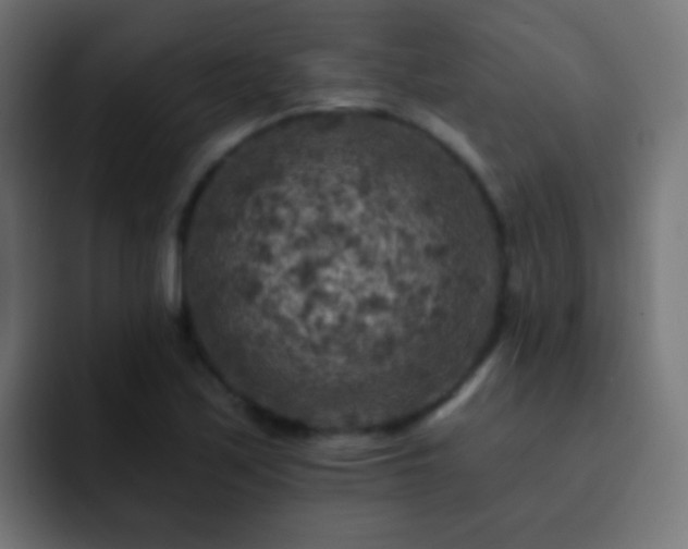 X0000093171171200710031458