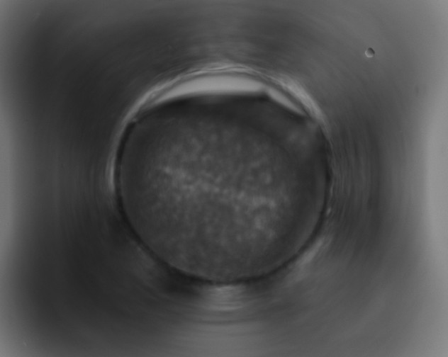 X0000093171173200710031458