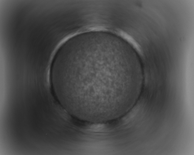 X0000093171174200710031458