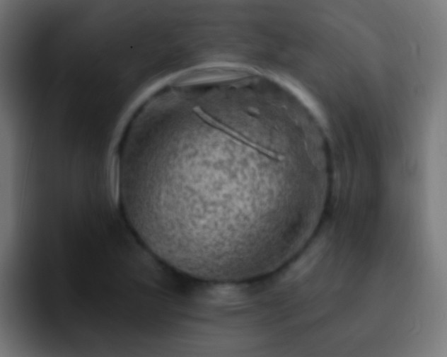 X0000093171175200710031458