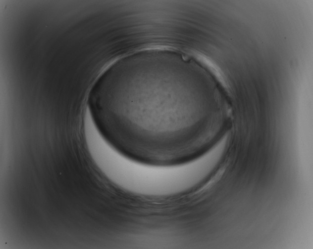X0000093171177200710031458