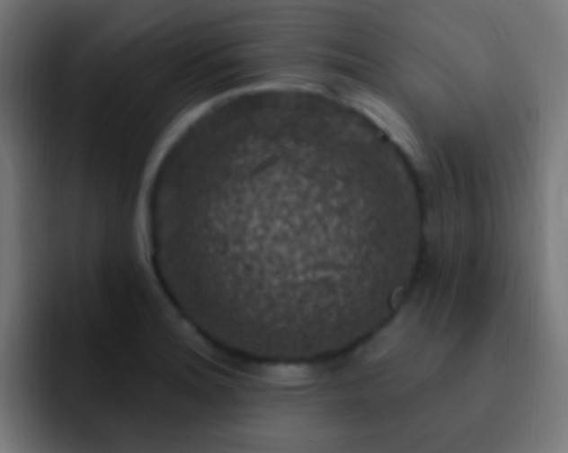 X0000093171180200710031458