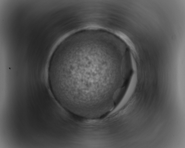 X0000093171183200710031458