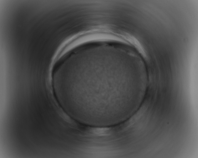 X0000093171184200710031458