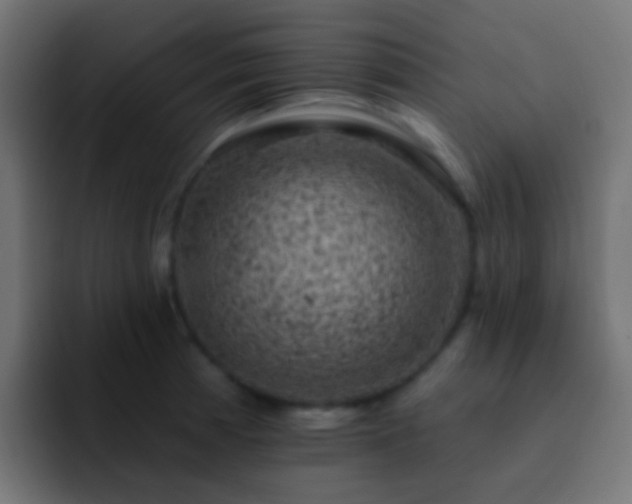 X0000093171185200710031458