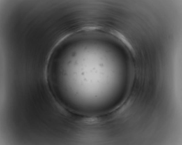 X0000093171186200710031458