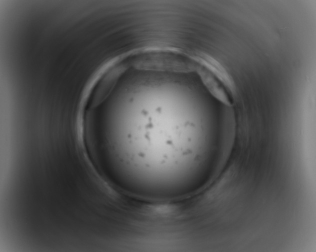X0000093171188200710031458